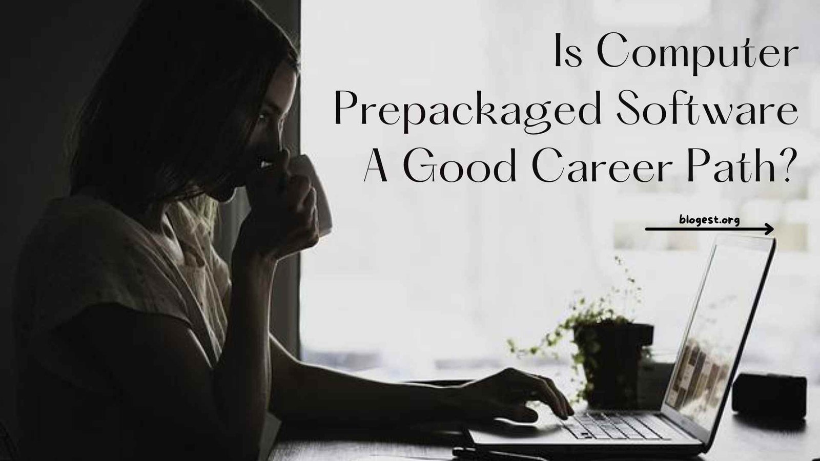 Is Computer Prepackaged Software A Good Career Path?