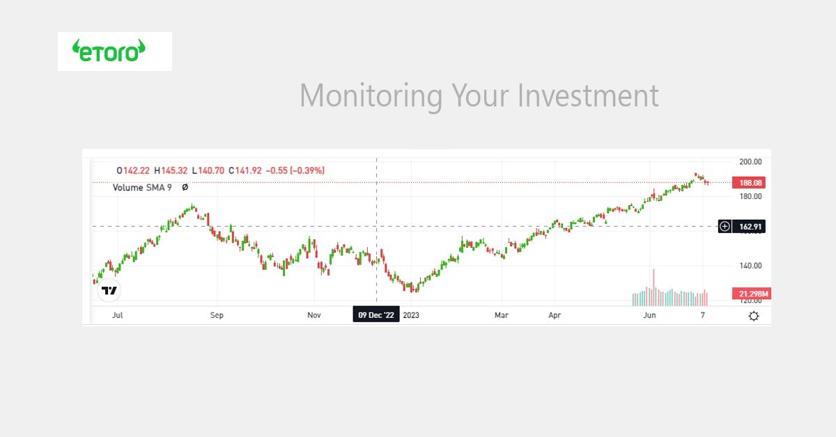 Monitoring Your Investment
