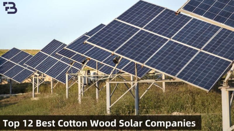 Cotton Wood Solar Company: Find The Best One From 12 Companies