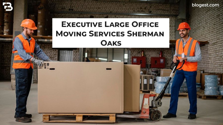 Executive Large Office Moving Services Sherman Oaks: Things To Consider