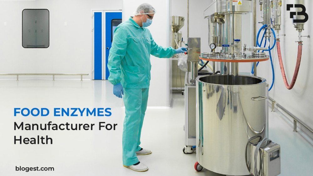 Food Enzymes Manufacturer For Health: Discover The Power