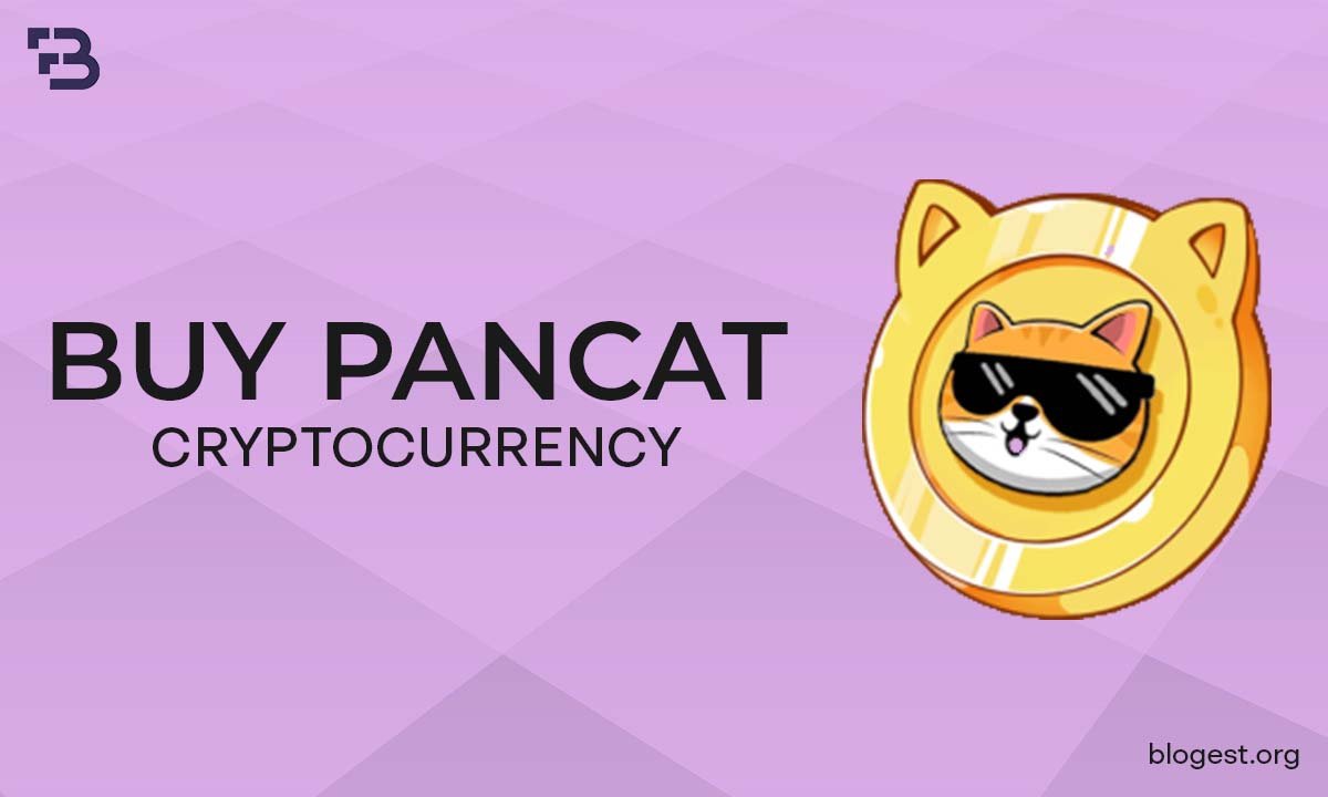 How To Buy Pancat Cryptocurrency: A Comprehensive Guide For Beginners