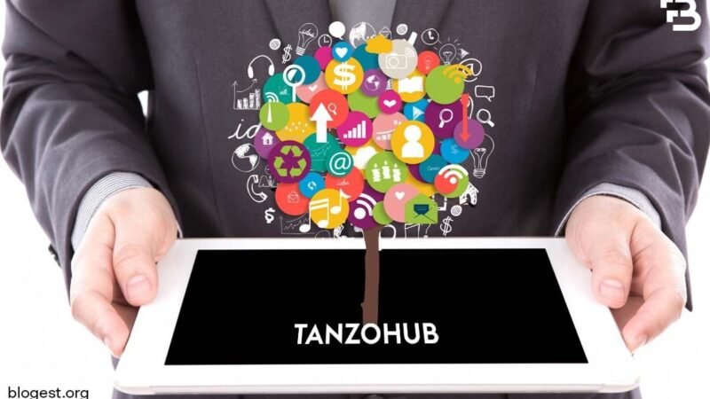 TanzoHub: Navigating To The Revolution in Digital Excellence